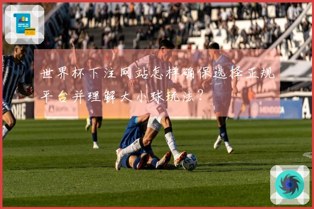 世界杯下注网站怎样确保选择正规平台并理解大小球玩法？
