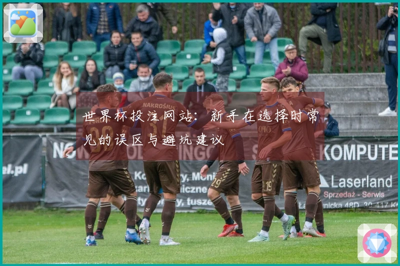 世界杯投注网站：新手在选择时常见的误区与避坑建议